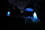 {Observer les papillons de nuit}, 30 août 2023
