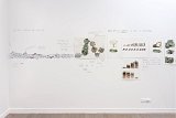 Vue de l'exposition Castor, l'amant de la rivière, Artothèque de Caen, 2024