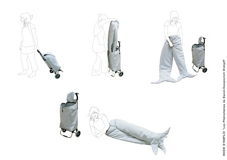 {Les phénomènes de David-Ossipovitch Widopff/mode d'emploi}, 2007