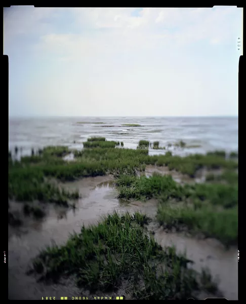 Sabine Delcour - Delta de la Leyre